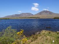 Bilderbuchlandschaft am Lough Shindilla - Connemara, Co. Galway